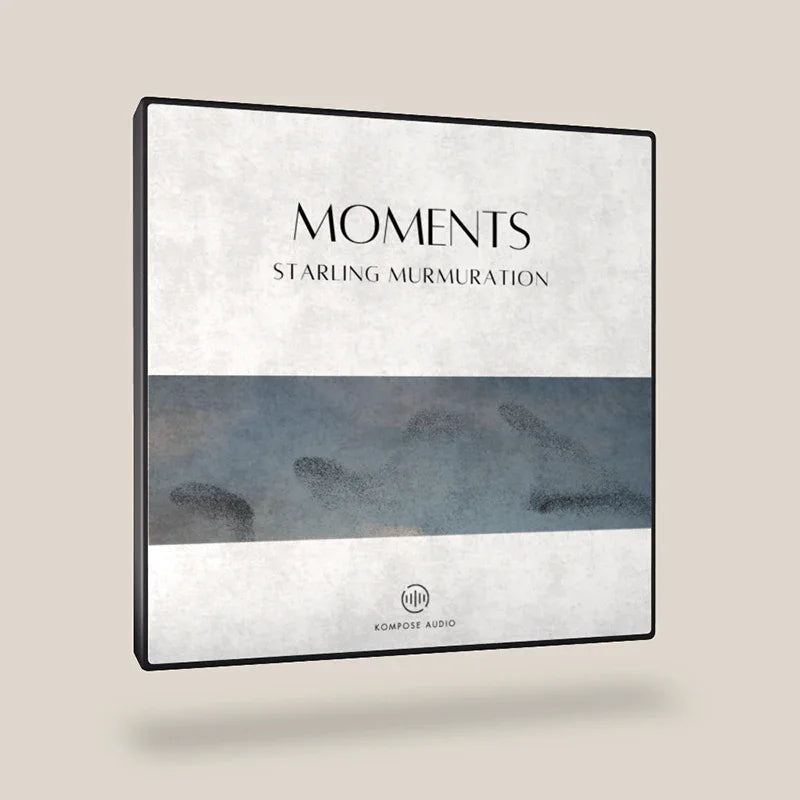 Starling Murmuration