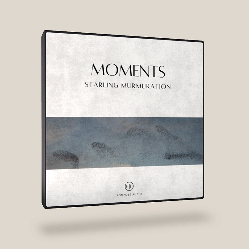 Starling Murmuration