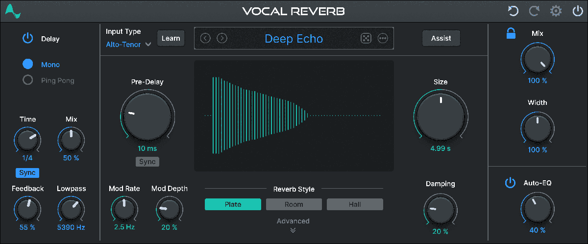 Vocal Reverb