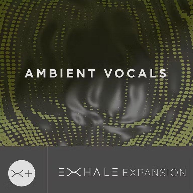 Ambient Vocals - Output