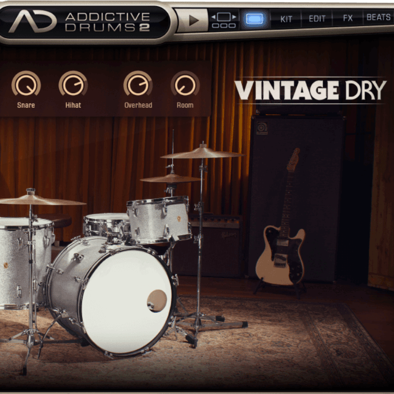 Vintage Dry by XLN Audio